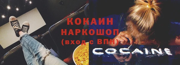 эйфоретик Сосновка